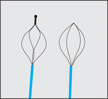 > </div>
<div class=